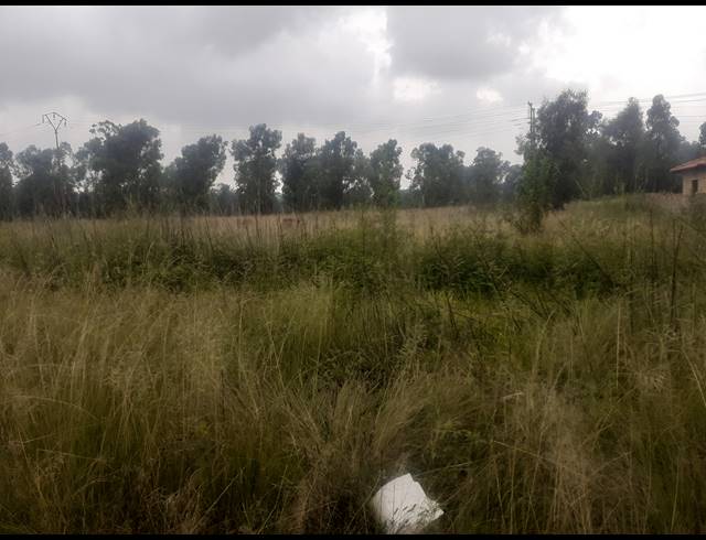 263M² VACANT LAND FOR SALE IN SHARON PARK